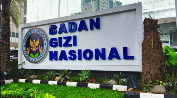 SDMO BGN Adalah? Ini Tugas, Fungsi, dan Perannya di Badan Gizi Nasional