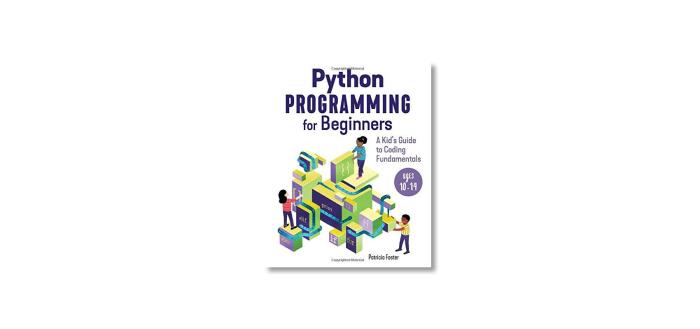 Cara Belajar Coding Python Untuk Anak SMP Di Rumah