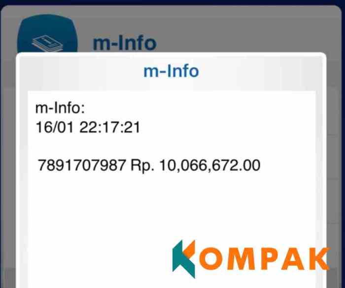 Review Reel Farm Pro APK Penghasil Saldo DANA, Bisa Withdraw Cepat?