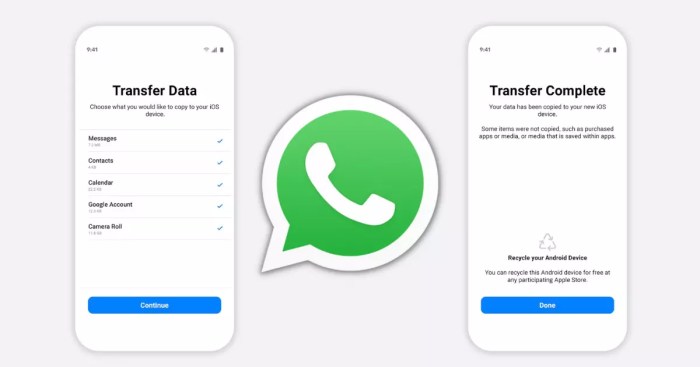 [5 Top Ways] Transfer WhatsApp from iPhone to Android