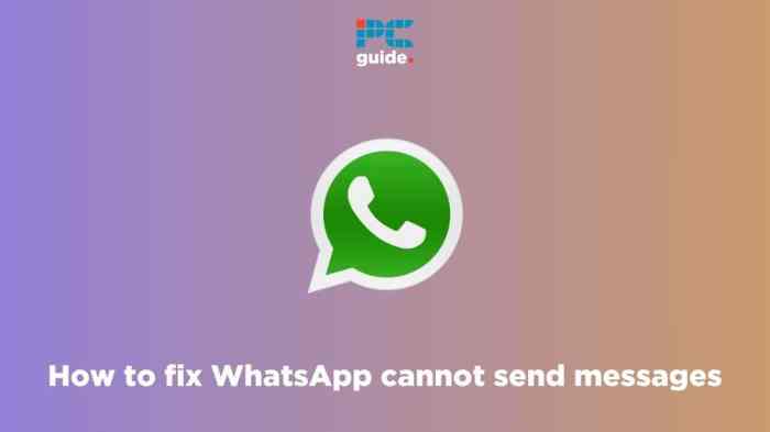 Solusi Whatsapp Tidak Bisa Mengirim Pesan