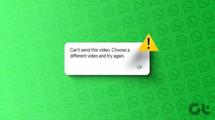 WhatsApp Messages Not Sending? Here's the Fix Kenapa Whatsapp Tidak Bisa Kirim Pesan, Ini Solusinya