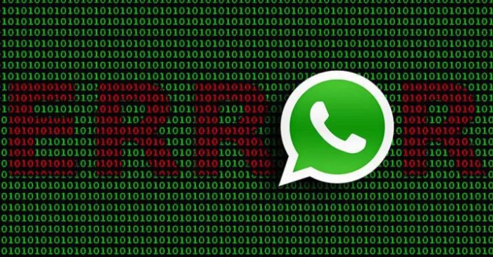 Solusi Whatsapp Tidak Bisa Mengirim Pesan