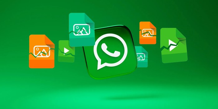 7 Cara Mengatasi WhatsApp Tidak dapat Download Foto atau Video